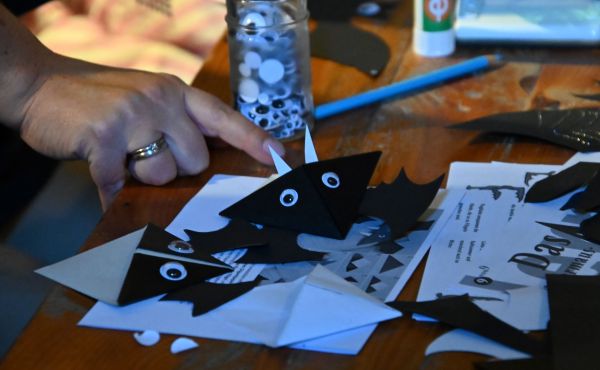 Fledermausnacht in der St.-Thomas-Kirche Damshagen